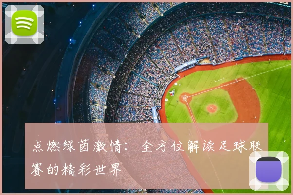 点燃绿茵激情：全方位解读足球联赛的精彩世界