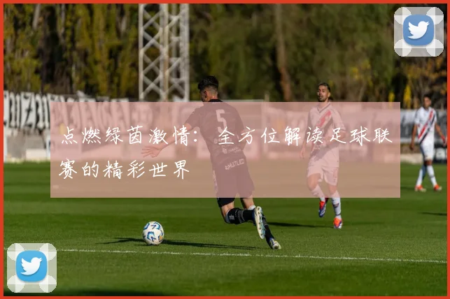 点燃绿茵激情：全方位解读足球联赛的精彩世界